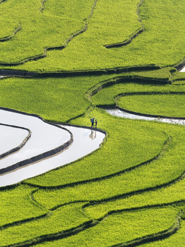 Vietnam Vietnam